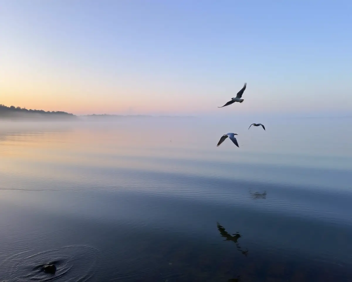 Serene Lake Dawn with Gentle Bird Chirps and Lapping Water